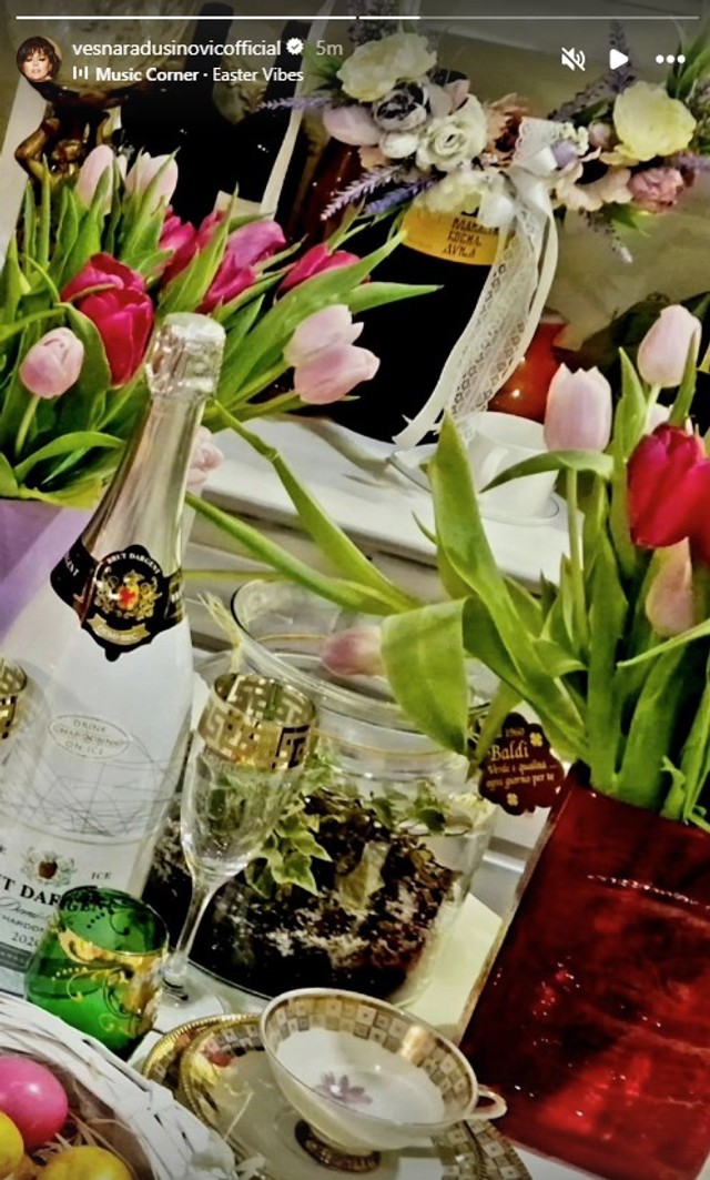 Vesna Radusinović (Foto: Instagram/vesnaradusinovicofficial)