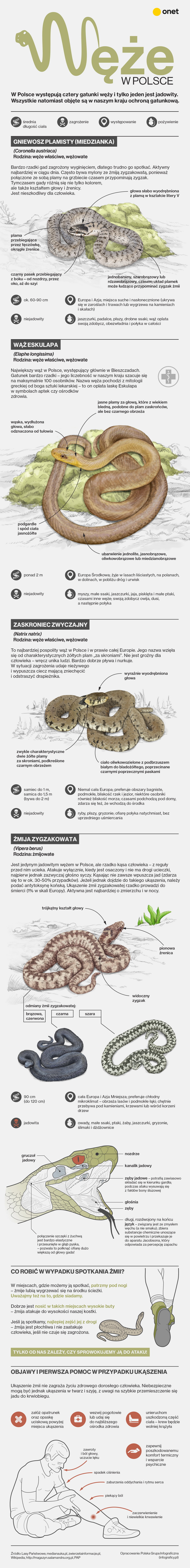 Węże w Polsce