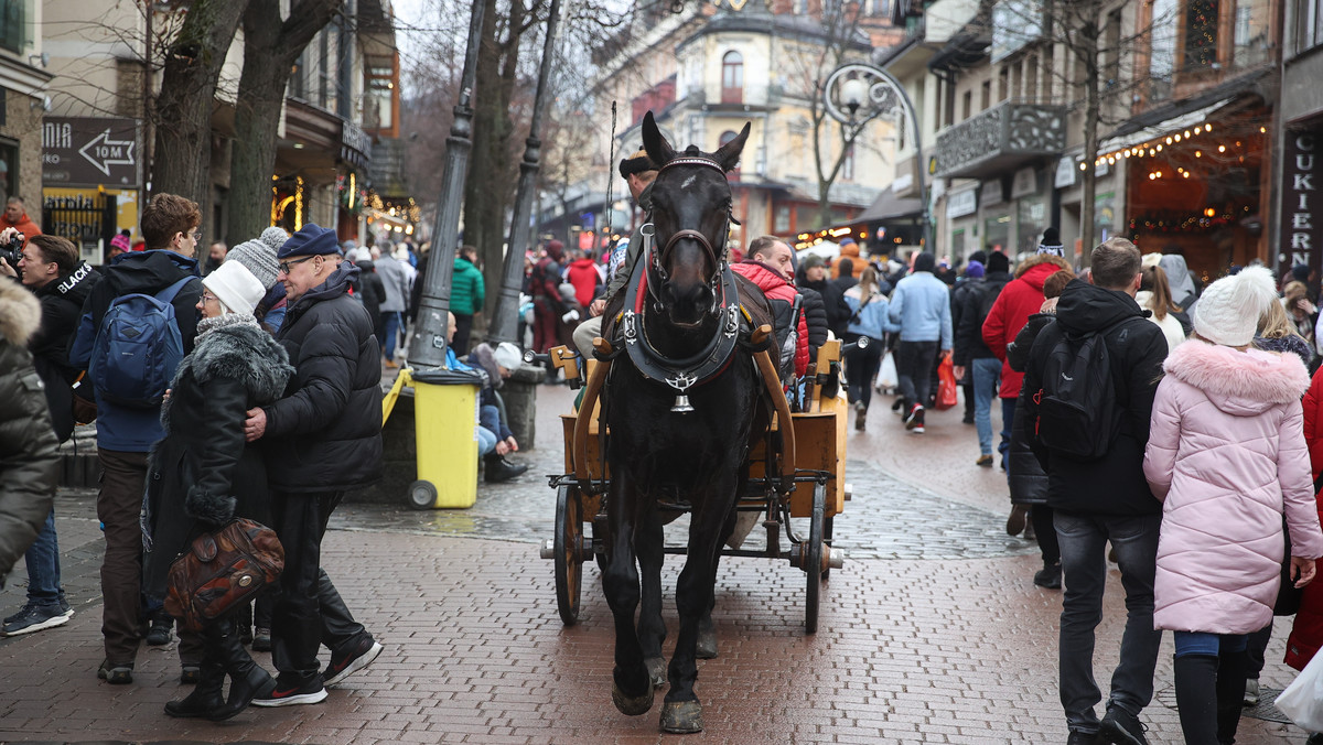 Zakopane zwróci turyście opłatę miejscową. W tle gra o miliony złotych