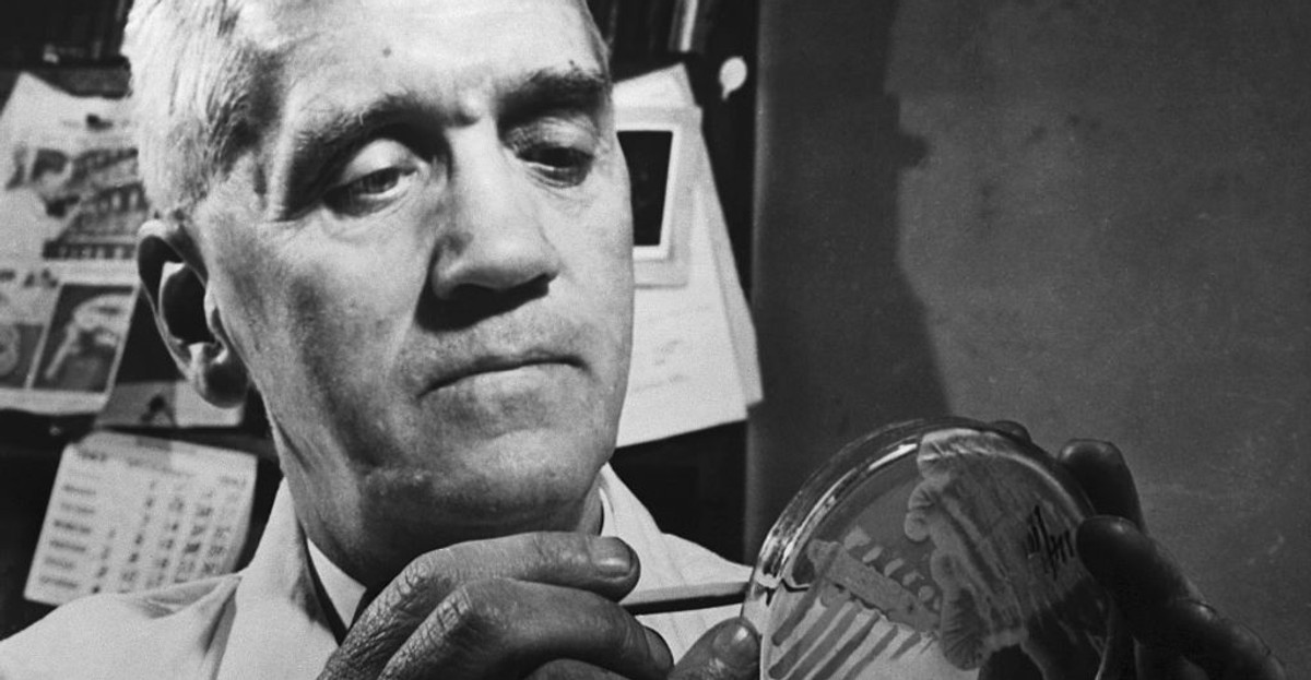 Alexander Fleming odkrywca penicyliny. Jeden z setki najważniejszych