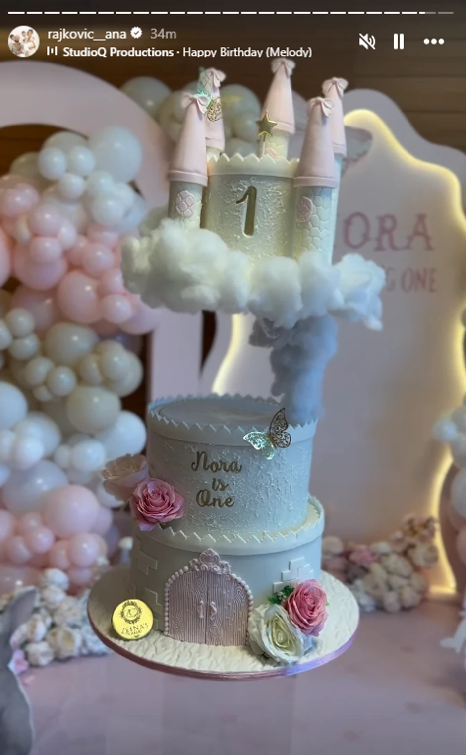 Ana Rajković objava