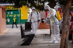 Wypożyczają psy, by wyjść z domu. Tak Hiszpanie łamią kwarantannę