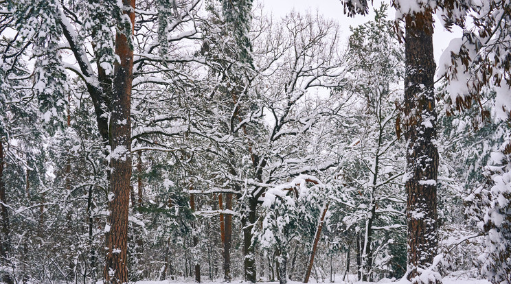 Európa egy részén komoly havazással köszöntött be a tél / lllusztráció: Northfoto