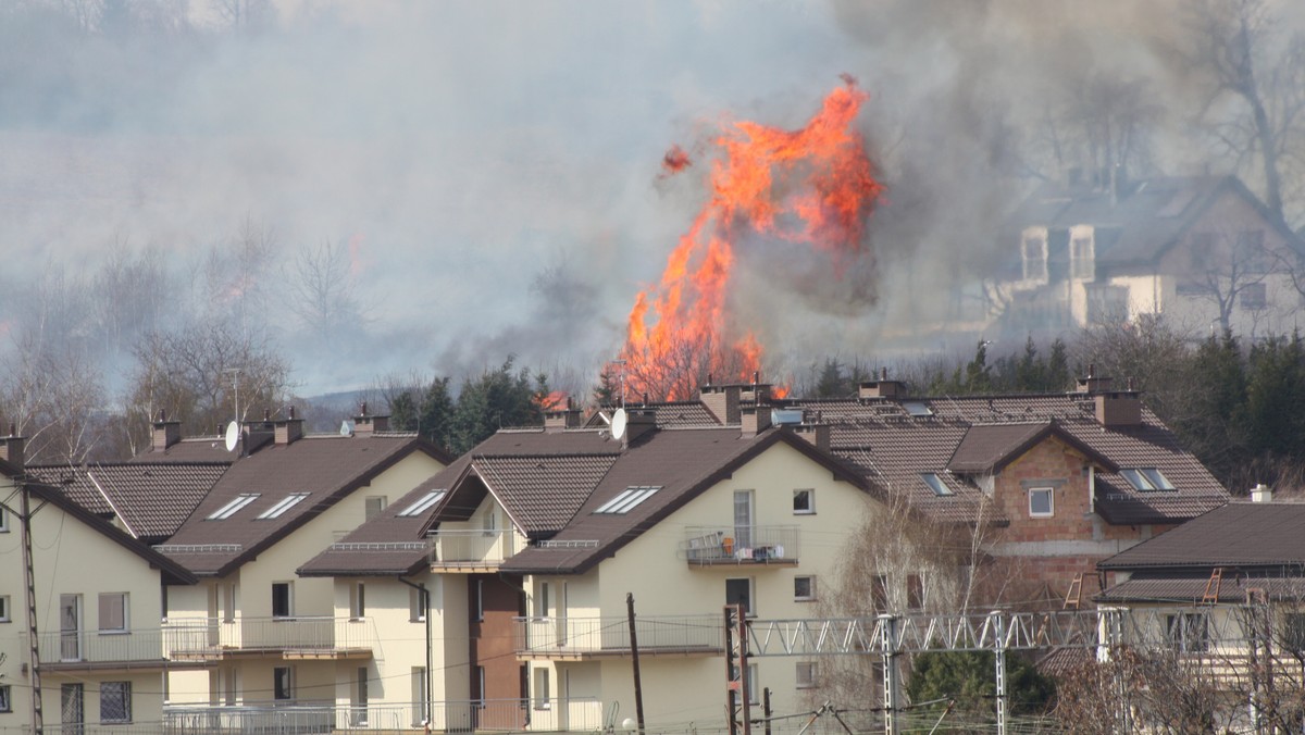 Pożar łąk w krakowskich Bronowicach, Fot. Dawid Hubrich/Daj znać!