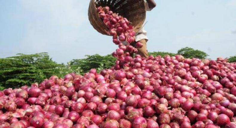 Nigerian onion producers commence export to West African countries. [Vanguard]