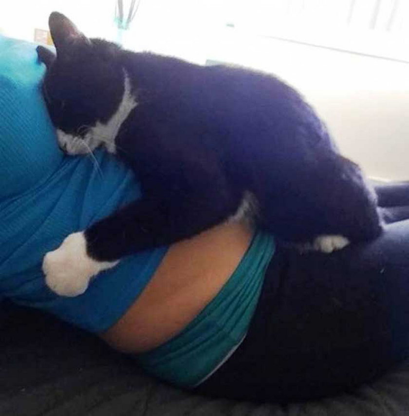 Ten kot pokochał dziecko jeszcze w brzuchu matki