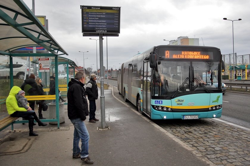 Jazda cały dzień autobusami w Jaworznie kosztuje 5 zł