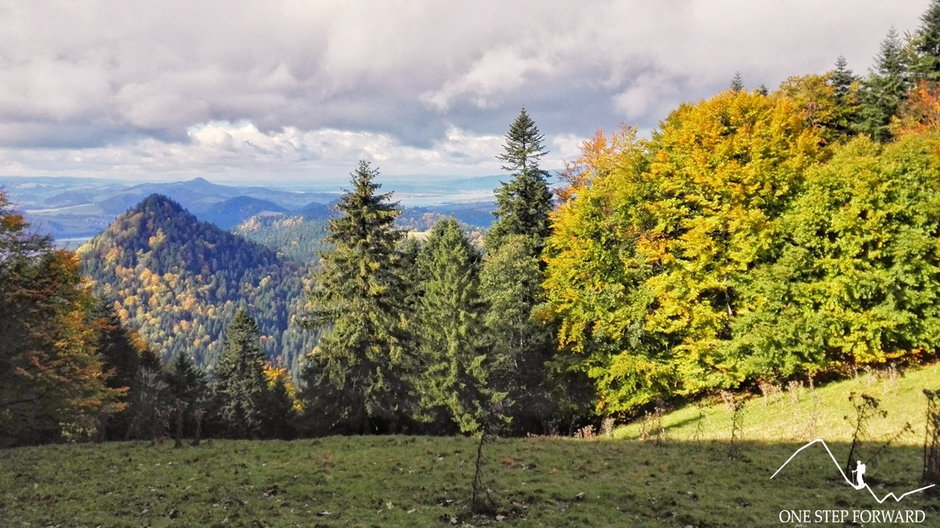 Panorama z polany widokowej 