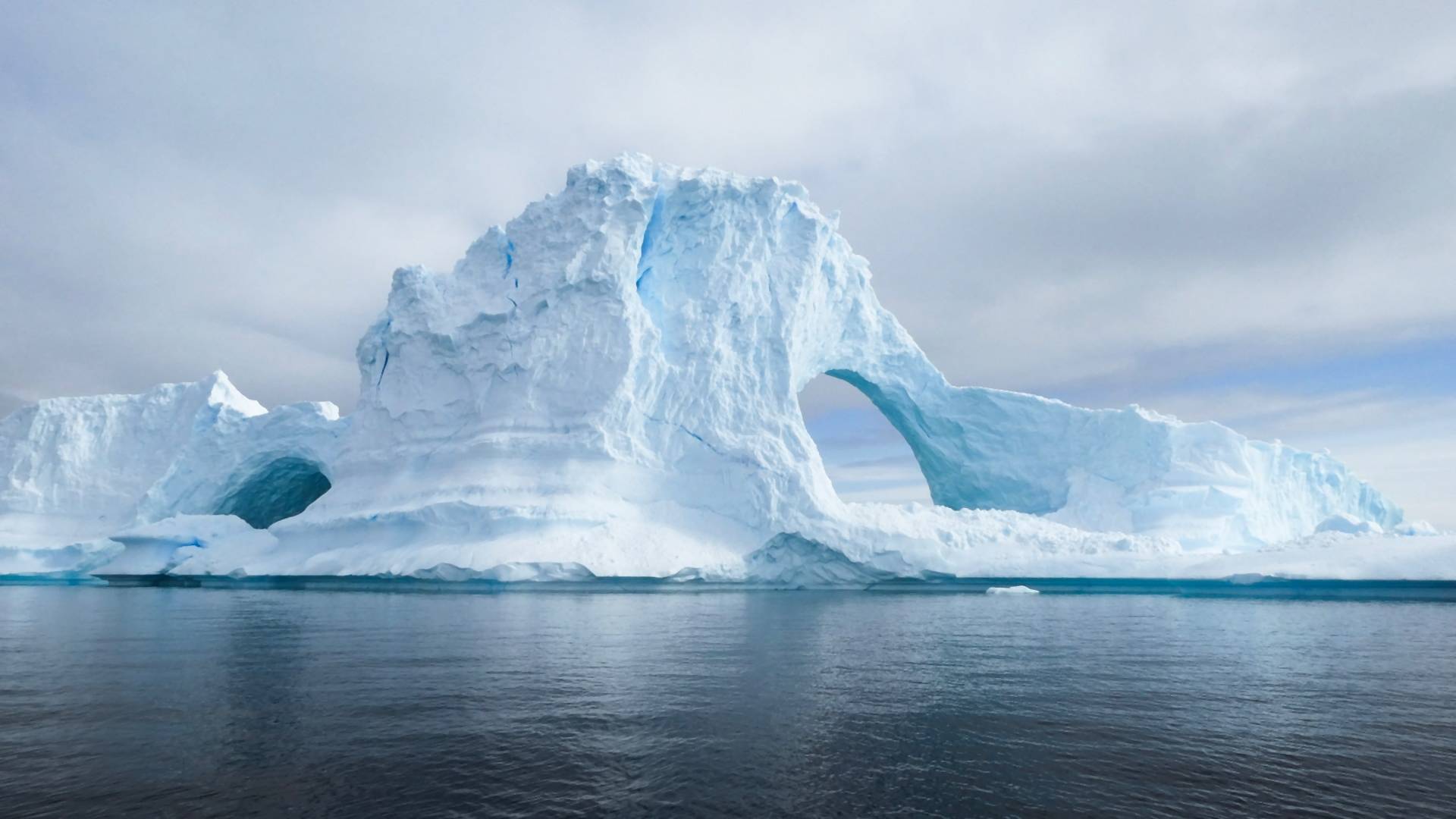 Hajókkal szállíthatnak invazív idegen fajokat az Antarktiszra