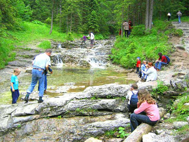 Galeria Polska - Tatry, Dolina Białego, obrazek 8