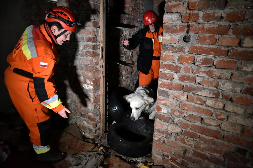 Patrole Straży Miejskiej i strażaków z Grupy Ratownictwa Specjalistycznego OSP Łódź Jędrzejów 