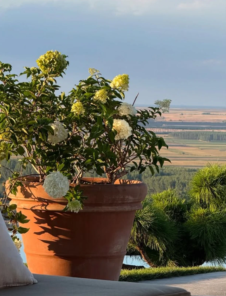 Branka pokazala imanje