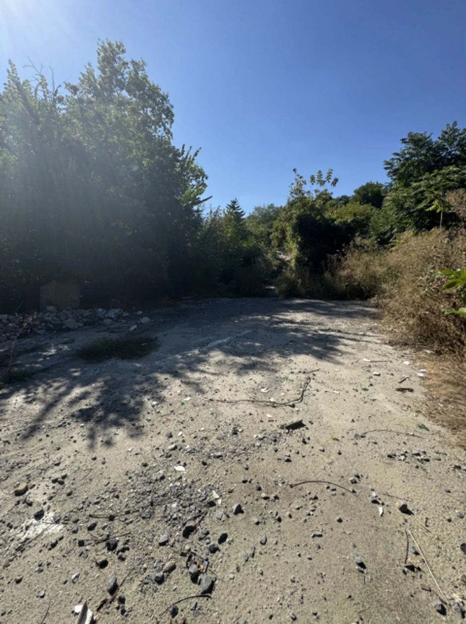 Na očišćenim divljim deponijama biće zasađene sadnice