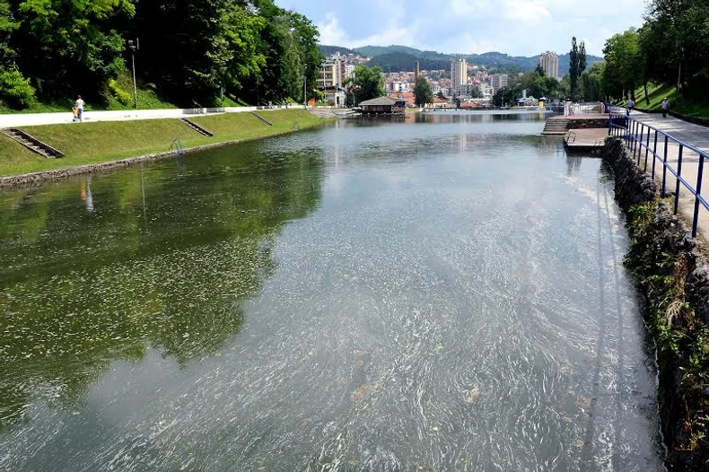 Od algi mnogi Užičani misle da su fekalije