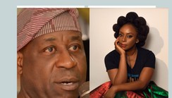 You deserve great deal of pity and sympathy - Dele Alake replies Chimamanda