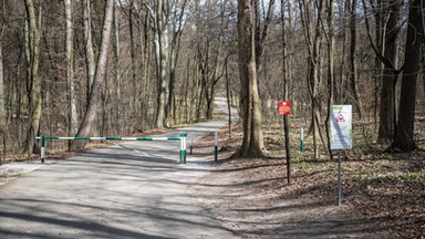 Zabójstwo w Lasku Wolskim. Nowe informacje po sekcji zwłok