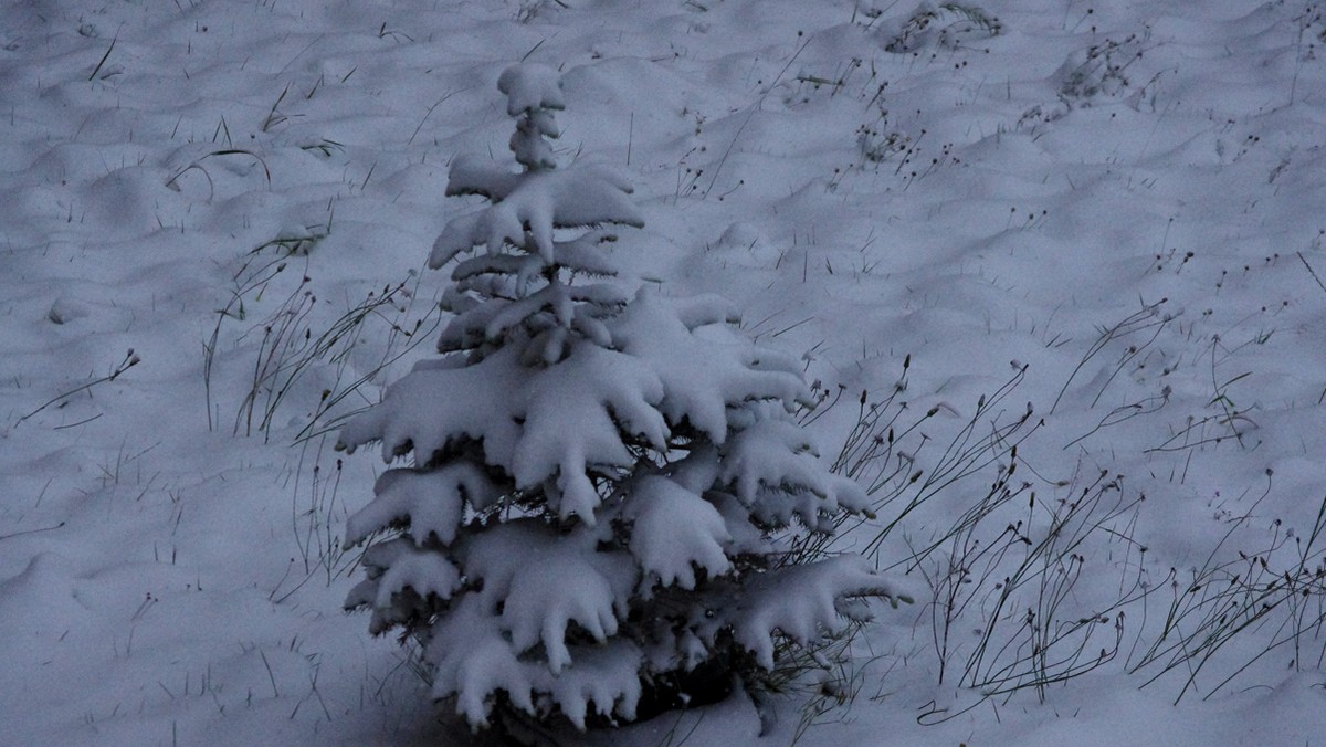 Minus 10,4 stopnia Celsjusza odnotowali w nocy z niedzieli na poniedziałek meteorolodzy w Białymstoku, który był najzimniejszym miastem w Polsce - poinformowało biuro prognoz meteorologicznych. Przy gruncie było tam nawet minus 14 st C.