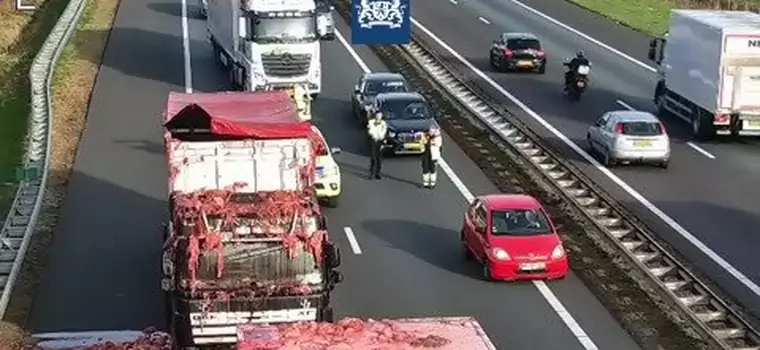 Holenderska autostrada zasypana mięsem. Niecodzienny wypadek [WIDEO]