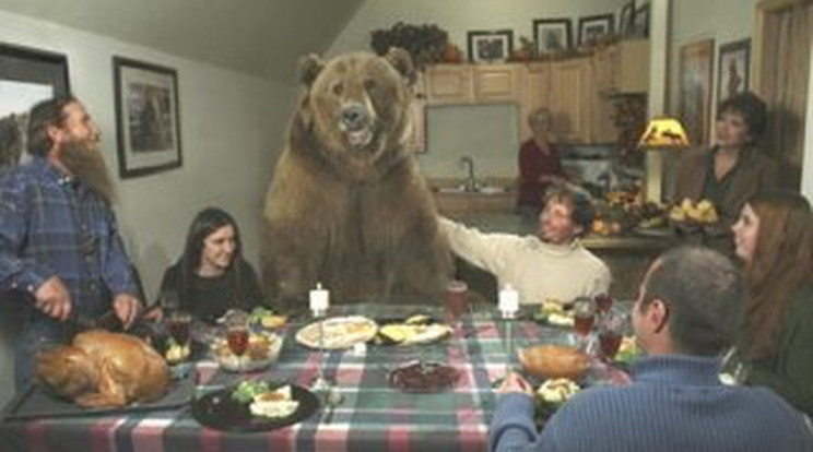 Hihetetlen! Az asztalnál eszik a 400 kilós medve