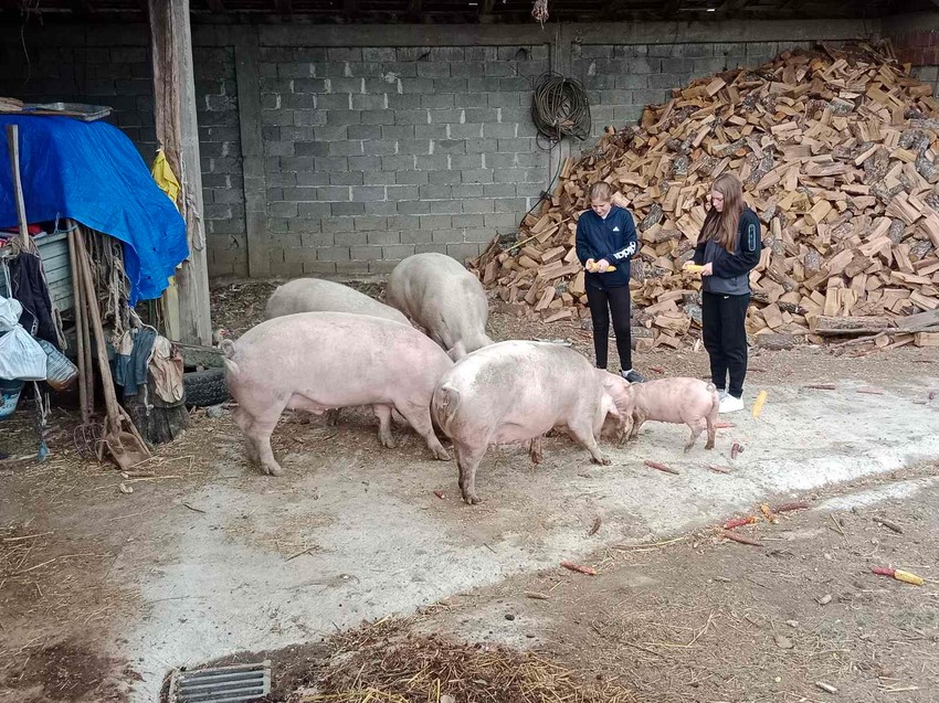 Gazdinstvo Jovanović