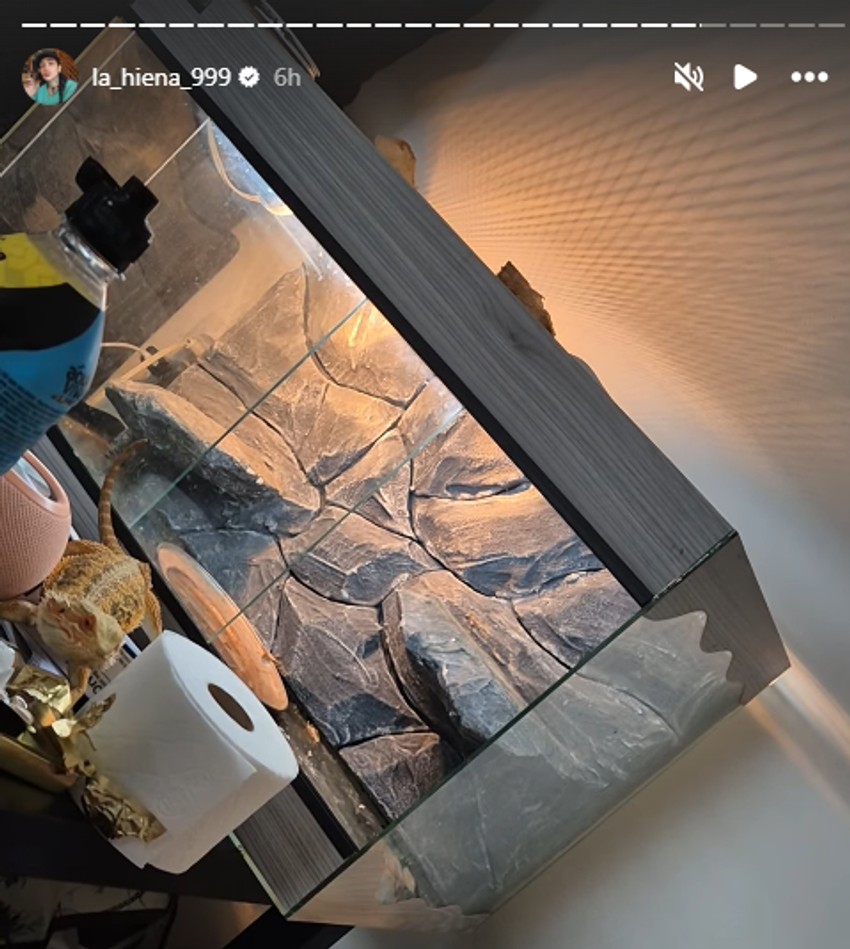 Dunja Ilić pokazala ljubimca