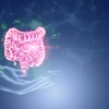 Inflamatorne bolesti creva