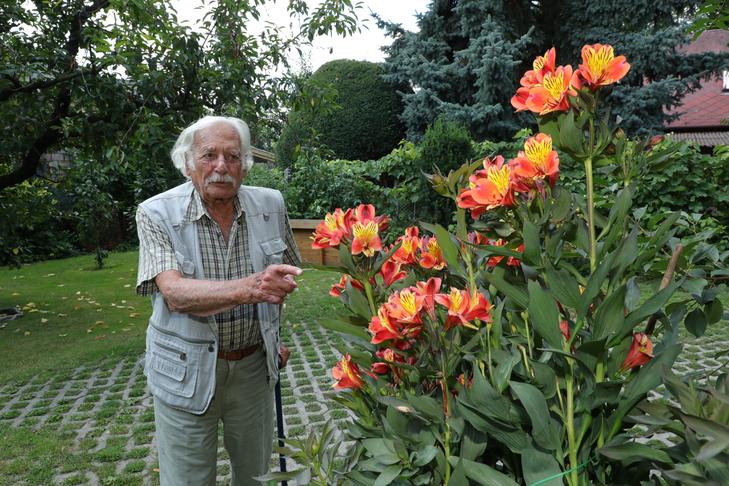 Bálint gazda idős korában is növényei között érezte magát a legjobban /Fotó: Grnák László