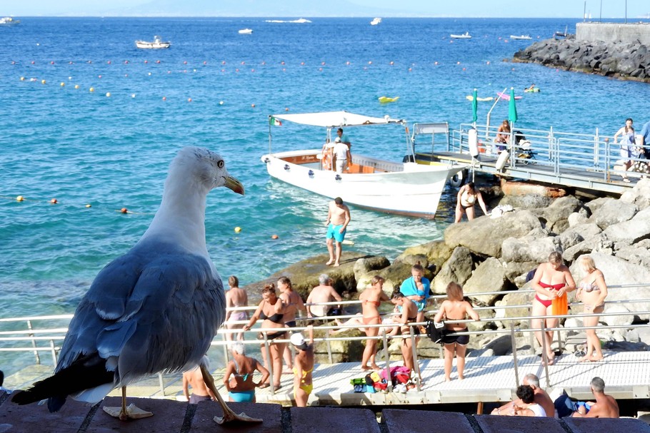 „Podatkowy rozejm” potrwa od 10 do 25 sierpnia