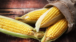 Kukurydza - występowanie, wartości odżywcze, propozycje podania