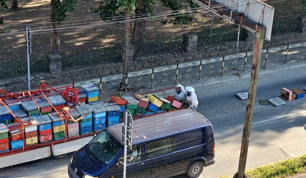 Košnice ispale iz kamiona u Kraljevu