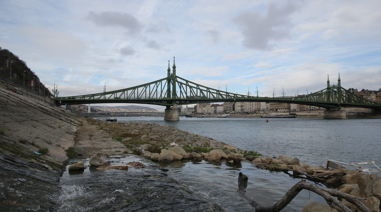 A Szabadság híd /Fotó: Weber Zsolt
