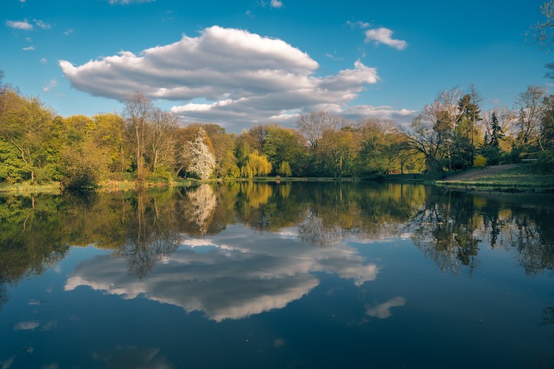 Park Skaryszewski