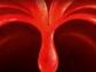 'Gastrofaza. Przygody w układzie pokarmowym': Długa rura z dodatkami