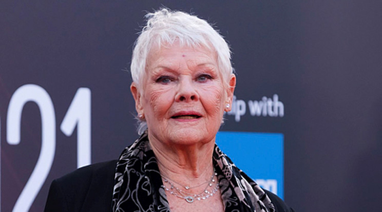 Judi Dench súlyos betegséggel küzd/ Fotó:/MTI/EPA/Vickie Flores