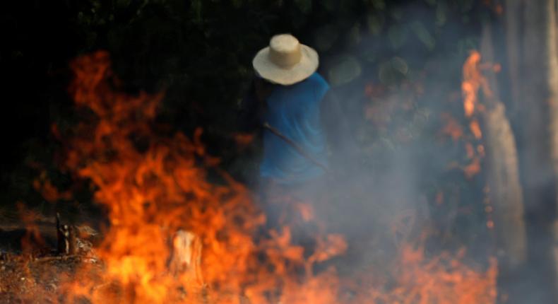 amazon rainforest fires farmer