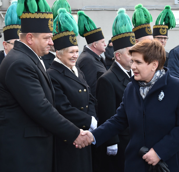 Szydło w Lubiążu