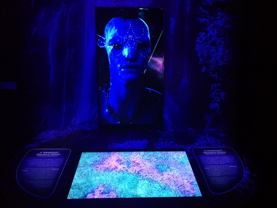 Végre megérkezett Magyarországra az Avatar Discover Pandora kiállítás -  Blikk Rúzs