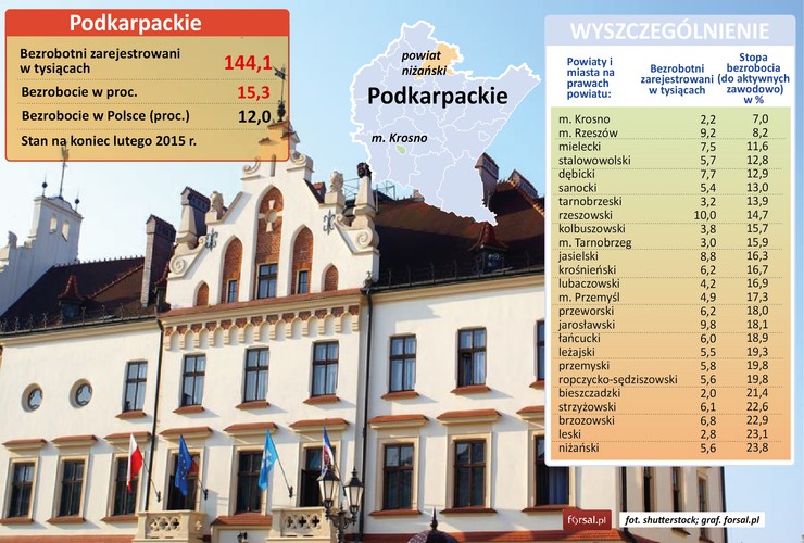 Tylko w dwóch miastach w województwie podkarpackim stopa bezrobocia nie przekracza 10 proc. To Krosno (7 proc.) oraz Rzeszów (8,2 proc.). Krosno jest największym w Polsce ośrodkiem przemysłu szklarskiego. Krośnieńskie Huty Szkła od 2008 roku znajdują się w upadłości likwidacyjnej, ale nadal kontynuują produkcję i eksportują po 60 krajów świata. W KHS i spółkach zależnych - Krosglass w Krośnie i Hucie Szkła w Jaśle – pracuje ok. 3 tys. osób. W Krośnie siedzibę ma też m.in. producent mebli Nowy Styl, producenci części motoryzacyjnych BWI Poland Technologies i FA Krosno S.A., a także firmy z branży lotniczej, m.in. Goodrich Aerospace Poland czy „Aero – Kros”.  Krośnieński Nowy Styl otworzył w marcu w Jaśle na Podkarpaciu najnowocześniejszą fabrykę mebli w Europie – w fabryce pracuje 170 osób, z czego stanowisk 90 to nowe etaty.
<br>W Rzeszowie, stolicy województwa podkarpackiego, znajduje się centrum podkarpackiej Doliny Lotniczej. Firmy wchodzące skład dynamicznie rozwijającego się klastru w ciągu 5 lat mają zatrudnić nawet 5 tys. osób. Największym pracodawcami w Rzeszowie to m.in. producent silników lotniczych WSK „PZL-Rzeszów” S.A, producent oprogramowania Asseco czy Zelmer.
<br>Najgorsza sytuacja na podkarpackim rynku pracy panuje w powiecie leskim i niżańskim. Stopa bezrobocia w tych regionach przekracza 23 proc.