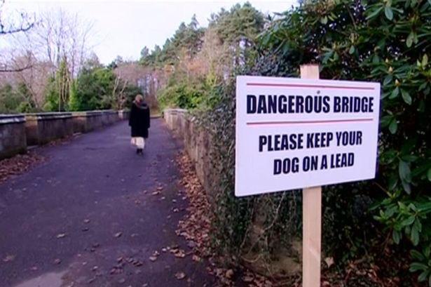 Most psích samovrahov