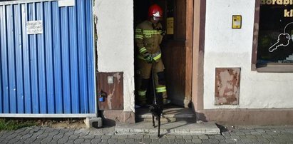 Z mieszkania dochodził cichy skowyt. Makabryczne odkrycie w Lesznie