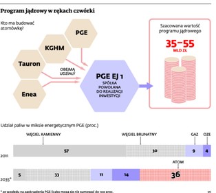 Elektrownia atomowa w Polsce: PGE, KGHM, Tauron i Enea mogą nie udźwignąć inwestycji