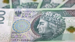 Wyniki wyborów 2023. Złotówka idzie w górę