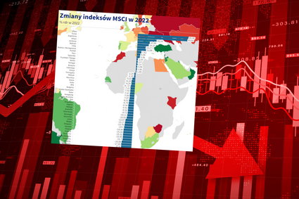 Polska giełda jedną z najgorszych na świecie w 2022. Oto gdzie trzeba było inwestować