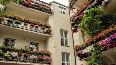 Mandat za kwiaty na balkonie? Miłośniku roślin, pamiętaj o tych zasadach