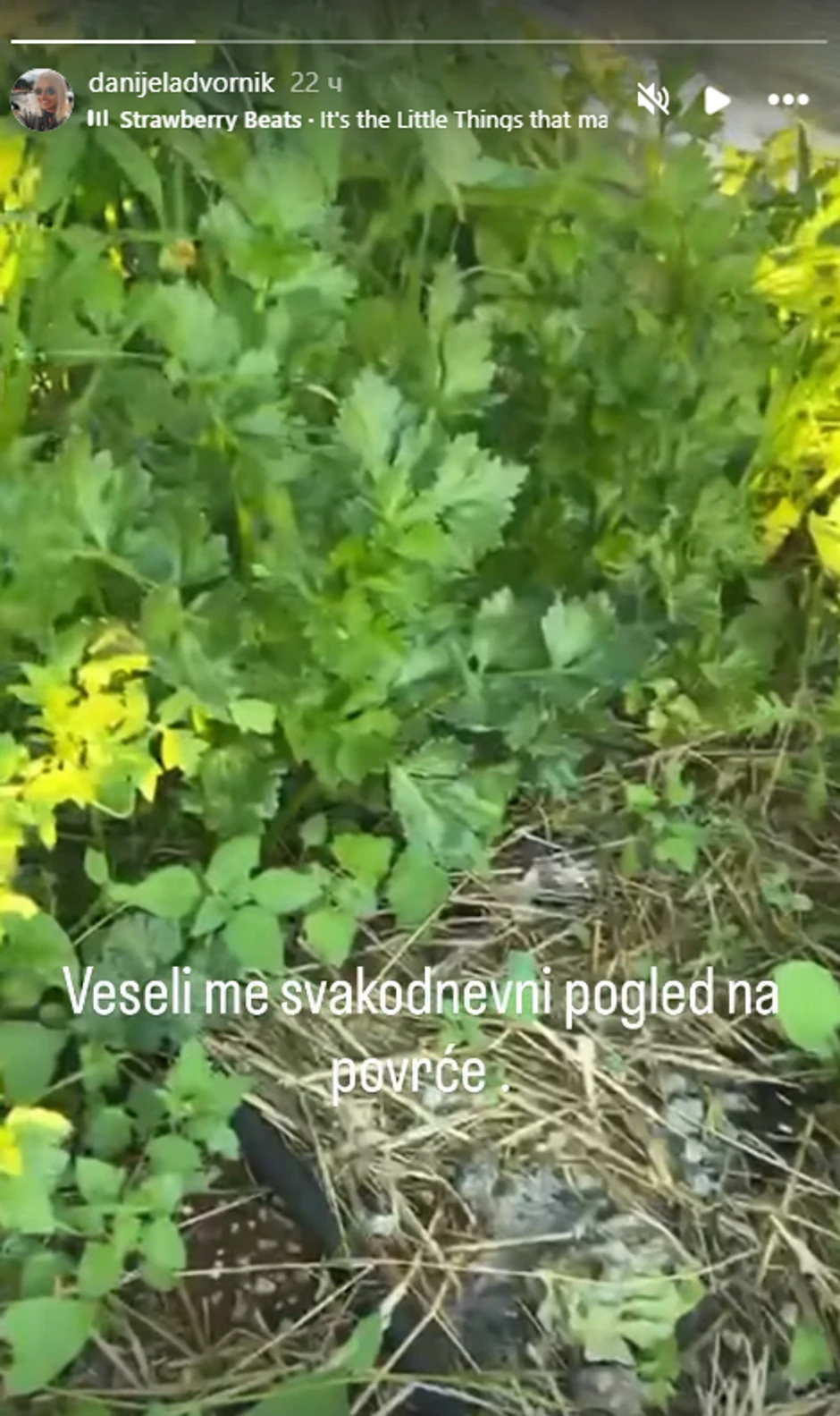 Danijela Dvornik pokazala baštu