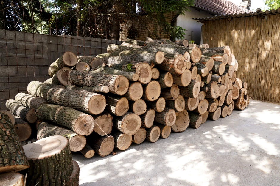 Aleksandar Vučić u Rakovici