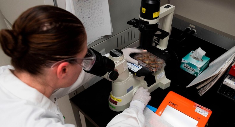 Dr. Rhonda Flores looks at protein samples at Novavax labs, one of the labs developing a vaccine for the coronavirus, in Gaithersburg, Maryland on March 20, 2020.