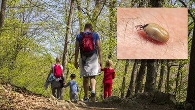 Kleszcze zaczynają atakować. Wszystko, co należy wiedzieć przed wyjściem na spacer