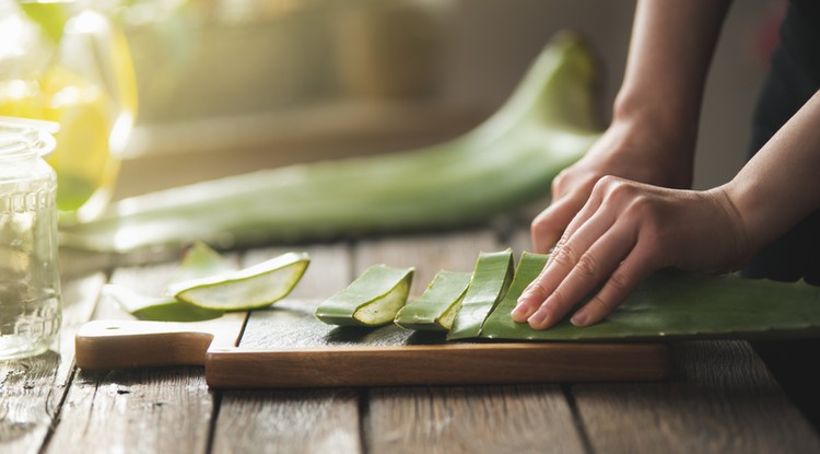 Ezért hasznos az aloe vera. Fotó: Getty Images