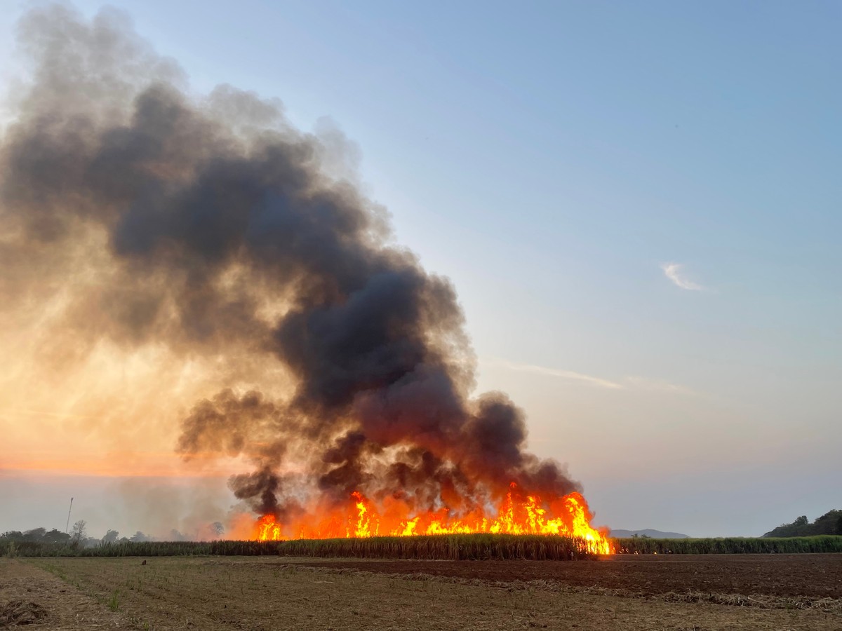 Pożar traw. Nowa wysokość kar za wykroczenia przeciwpożarowe.